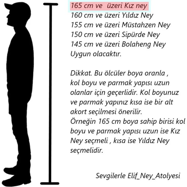 Vav Elif Serisi Ney