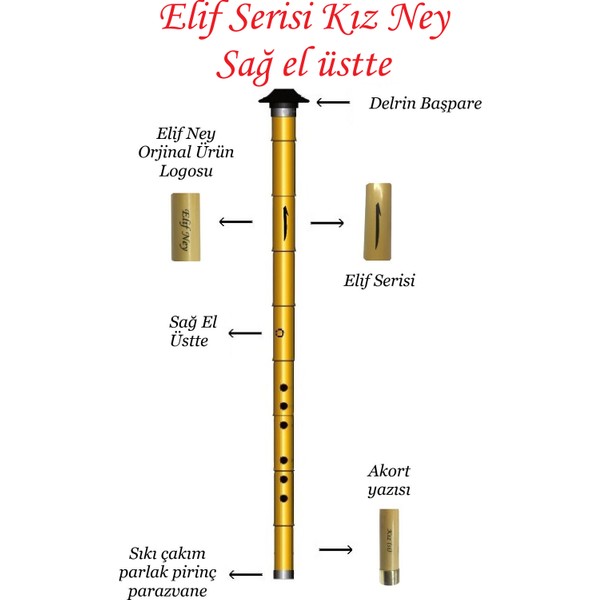 Elif Ney Elif Serisi Kız (Si) Sağ El Üstte Ney + Anahtarlık + 10Ml