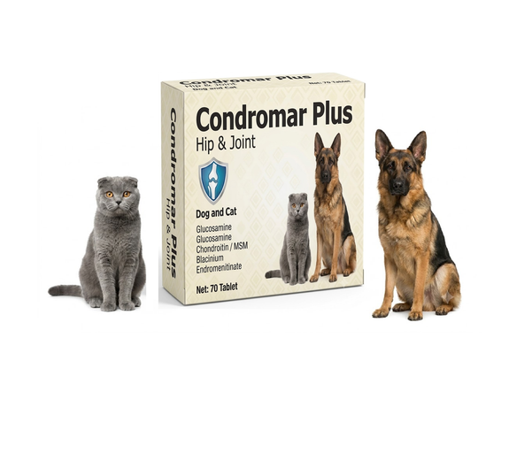 Yıldem Condromar Plus 70 Tablet Kedi Ve Köpekler İçin Eklem Destekleyici
