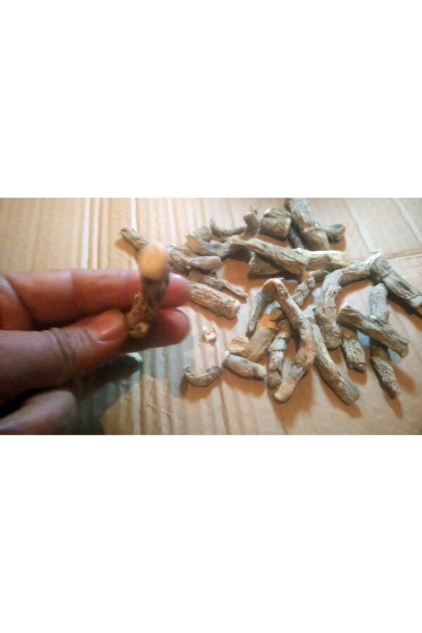 Itır Avm Hazanbel Eğir Kökü 1 Kg