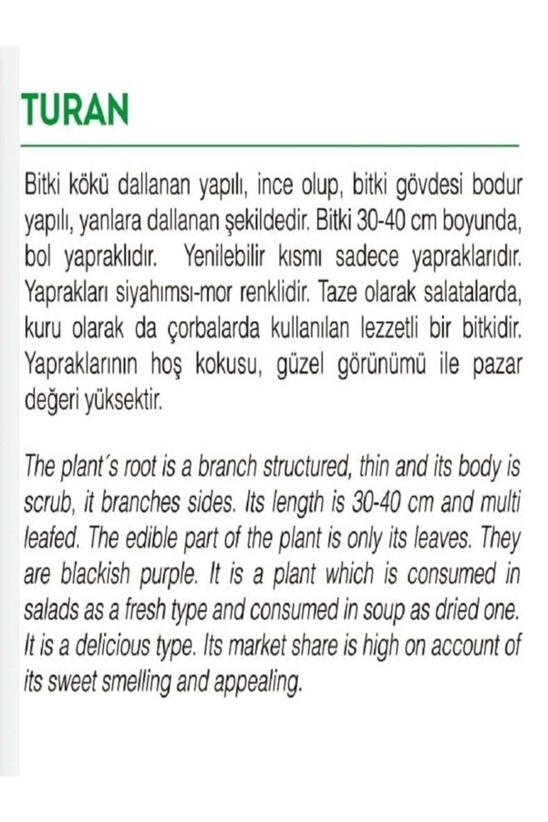 Agrodal Tarım Ata Tohumu Yerli Doğal Kokulu Mor Reyhan Turan 1000 Adet Sebze Tohumu