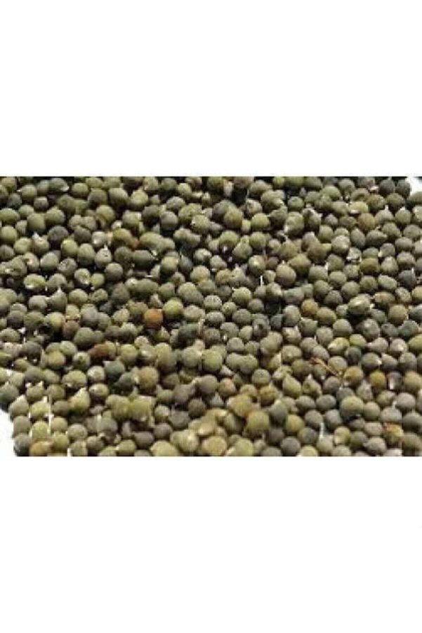 Balıkesir Tohum Bamya Tohumu Yerli 1 Kg (İlaçsız- Yenilebilir) 1. Kalite Balıkesir Yeni Mahsül