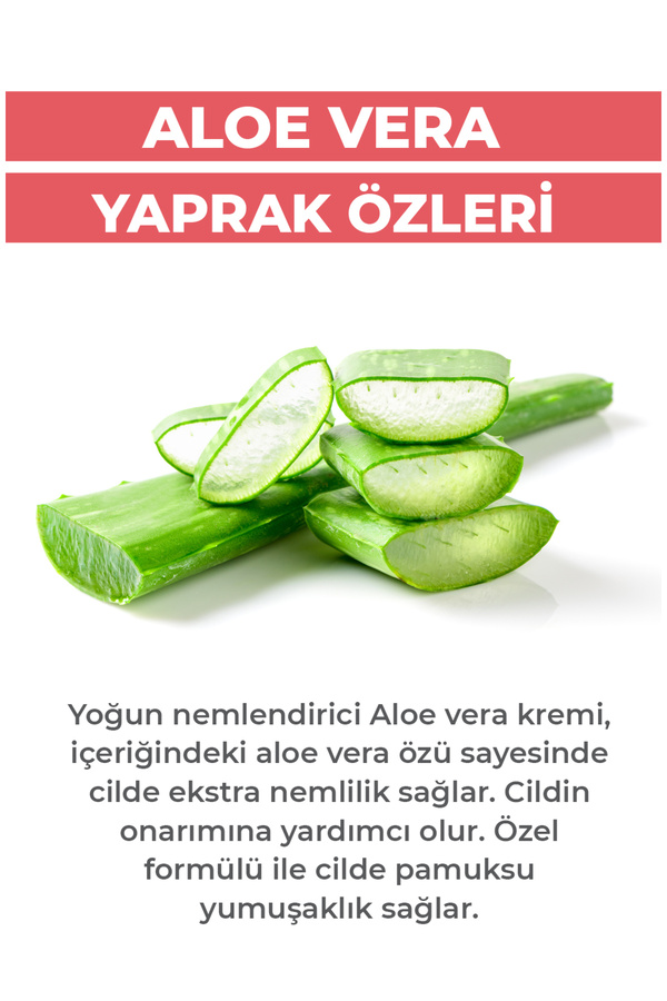 Ab-I Gül Aleo Vera Yaprak Özleri Ekstraktı Kremi 45 Ml | Moisturizer Aloe Vera Cream