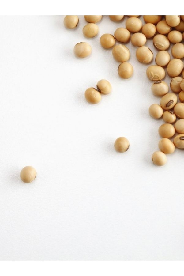 Aleyna Bitkisel Soya Fasulyesi 1 Kg Glutensiz Soya Fasülyesi Gdo Suz Ürün 1000 Gr