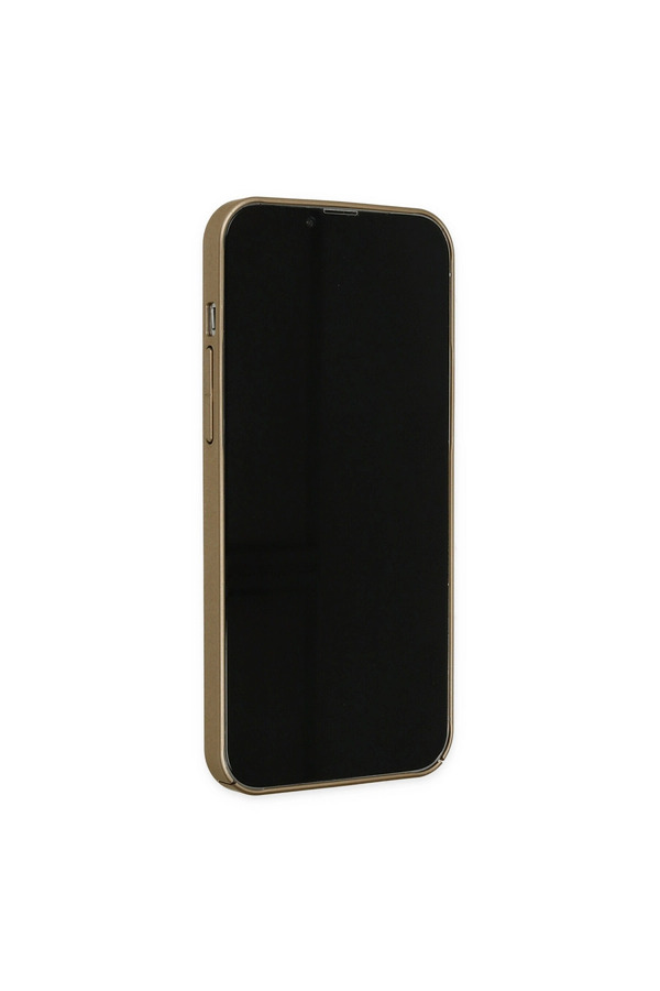 Evi̇mdeyokyok Apple İphone 13 Pro Kılıf Jack Magneti̇csafe Lens Si̇li̇kon - Gold