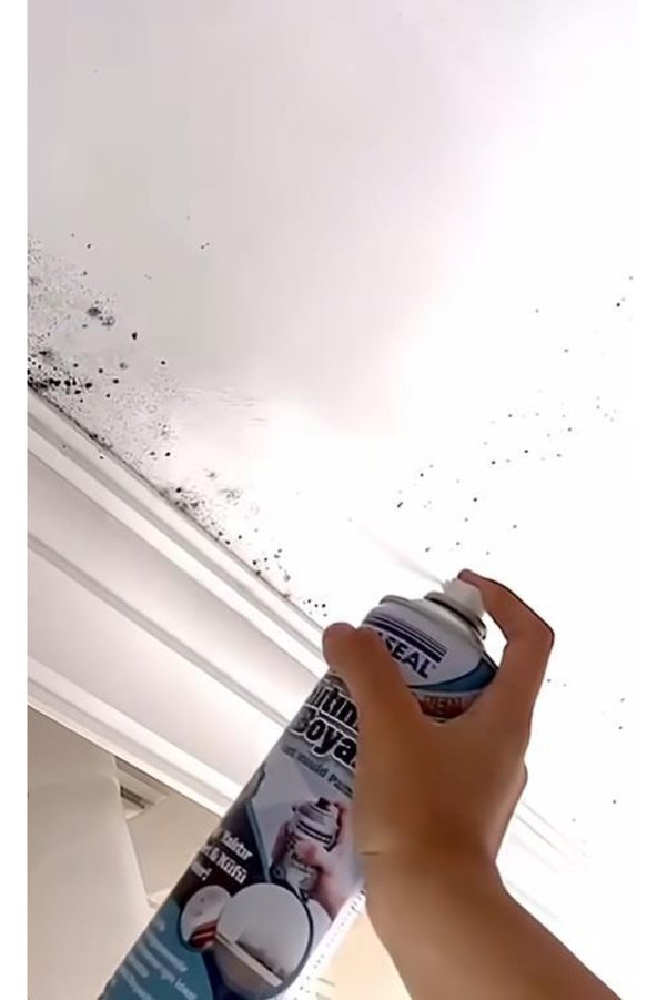 Ethab Ticaret Anti Küf Yalıtım Boyası Sprey 500 Ml