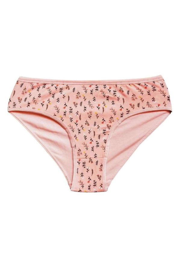 Eraboutique Pamuklu Geniş Kenarlı Likralı Desenli Bato Kadın Külot Desen 9