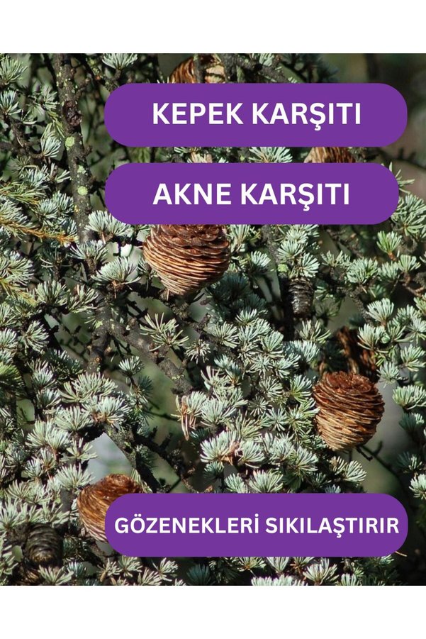 Roseville Sedir Uçucu Yağı %100 Saf Ve Doğal 10 Ml