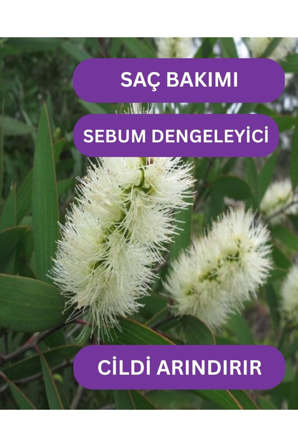 Roseville Nioli Uçucu Yağı %100 Saf Ve Doğal 10 Ml