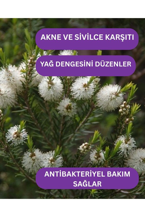 Roseville Çay Ağacı Uçucu Yağı %100 Saf Ve Doğal 10 Ml