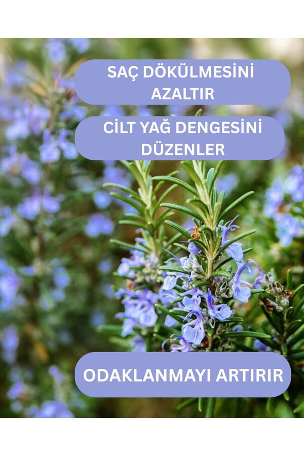 Roseville Biberiye Suyu Dökülme Karşıtı Ve Saç Uzamasını Destekleyici Saç Toniği %100 Saf Ve Doğal 100 Ml