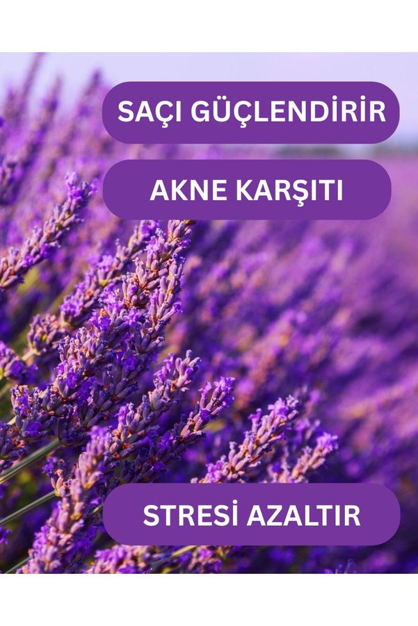 Roseville Lavanta Suyu %100 Saf Ve Doğal Canlandırıcı Ve Besleyici Etkili Tonik Lavanta Hidrosolü 100 Ml