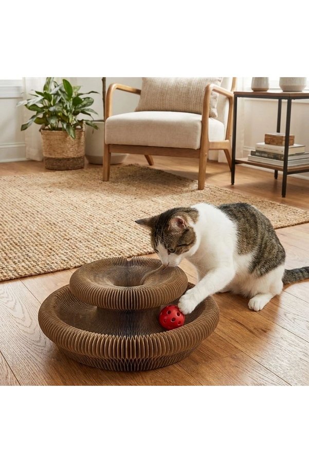 Go İthalat Akordiyon Karton Kedi Tırmalama Oyuncağı – Mıknatıslı Katlanabilir Etkileşimli Kedi Oyuncağı,Pençe T
