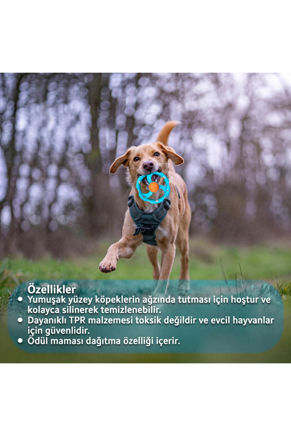 Ethab Ticaret Glbl-Tstil4136 Halatlı Frizbi Köpek Isırma Oyuncağı - Mama Ödüllü Mekanizma