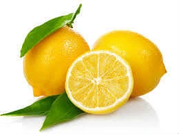 Limon Bonesi / 50 Adet / Bitki Çayı Bonesi