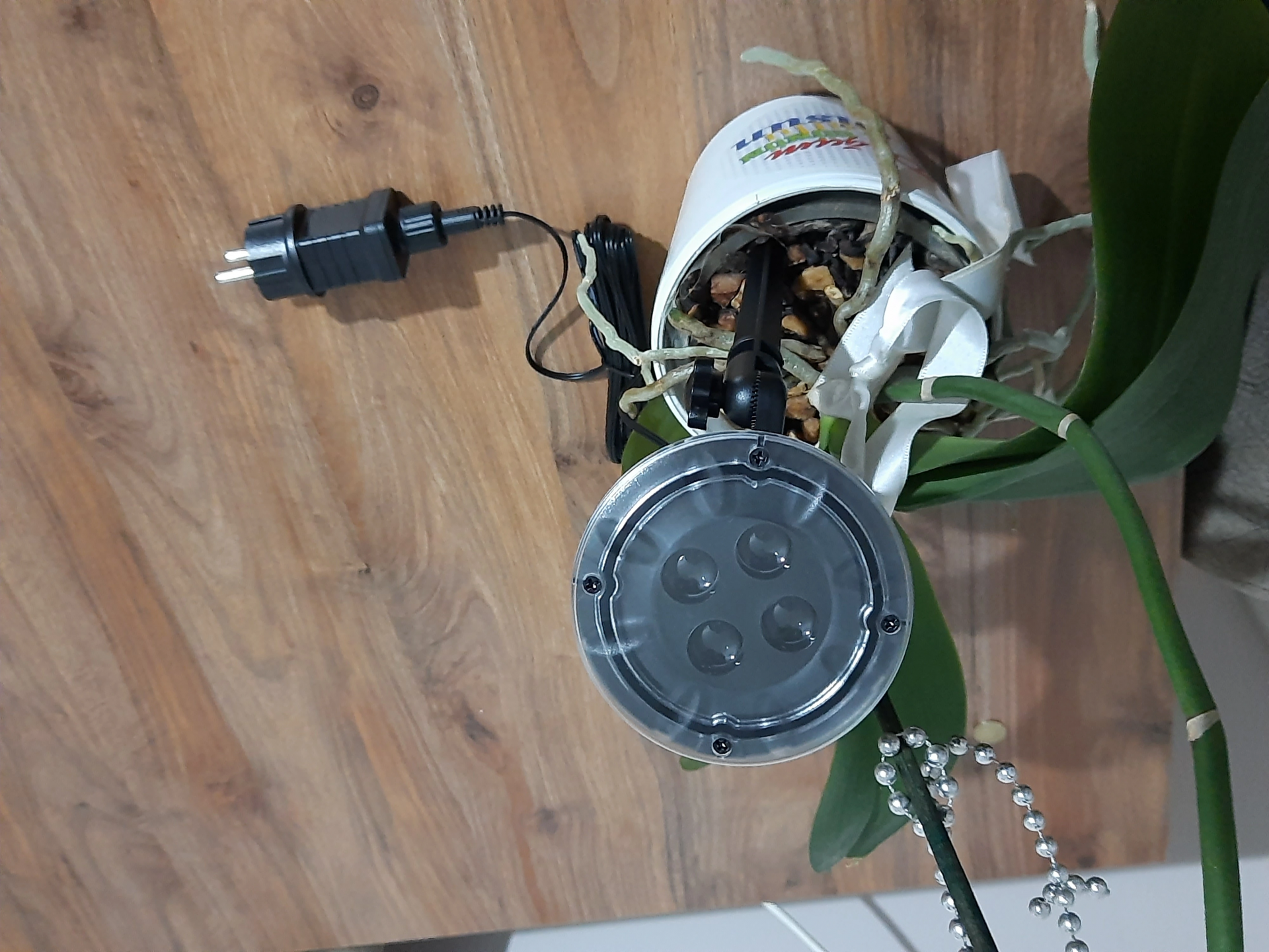 Peri Led Işık 5 Metre Beyaz Dekor Lambası 50 Ledli