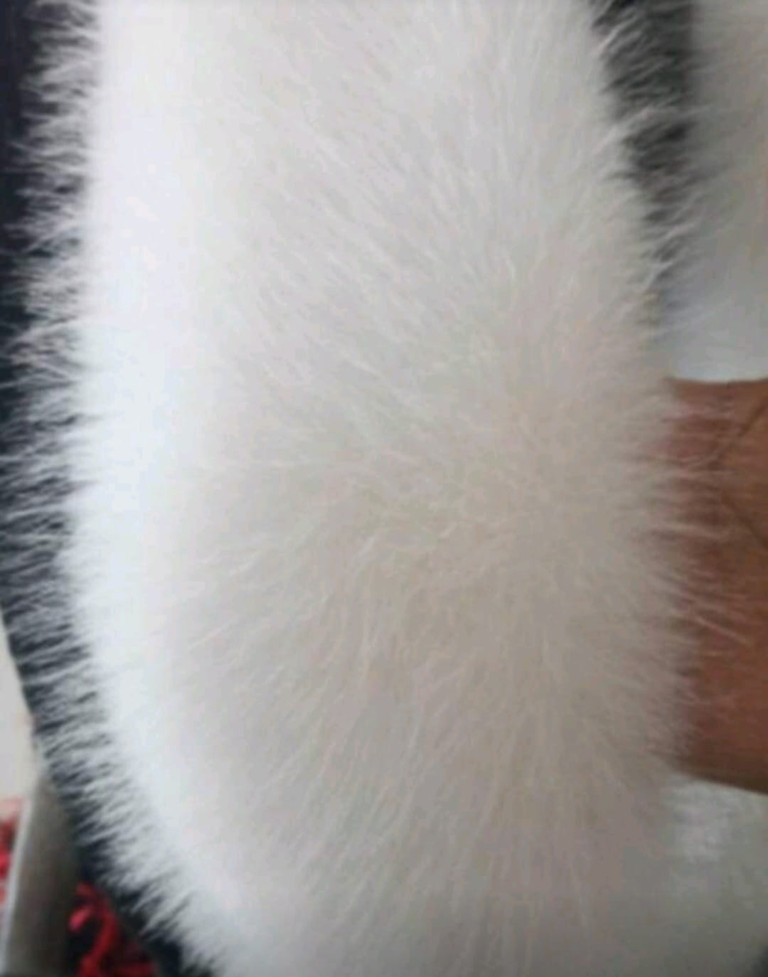 PinkStore Kürk Ori̇ji̇nal Beyaz Seksi̇ Omuzluk Şık Kürk