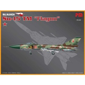 Pm Model Su-15 Tm Flagon PM Model Demonte Plastik Uçak Maket