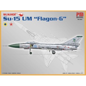 Pm Model Crewturk Su-15 Um "flagon G" Plastik