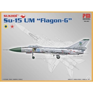 Pm Model Crewturk Su-15 Um "flagon G" Plastik