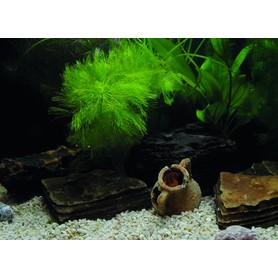 Kanki Pet KP5540033 Akvaryum Arka Fon Yapıştırma 55 x 40 cm
