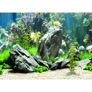 Kanki Pet KP5540034 Akvaryum Arka Fon Yapıştırma 55 x 40 cm