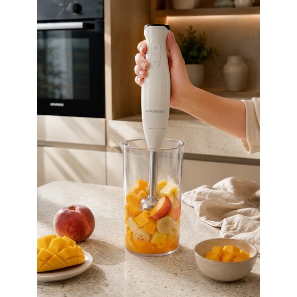 Grundig Rhb 1410 B 1500 Watt Blender