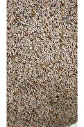 Otcu ® Karnıyarık Otu Tohumu 100 Gr