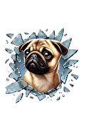 Ethab Ticaret Fulcar French Bulldog Araç Stickerı