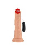 Erox Glenn 16.5 Cm Realistik Vibratör