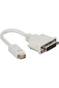 STOREMAX goldshine 45498 CA M9 Mini DVI Fiş - DVI Soket goldgleam 1058548