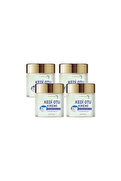 Yourbrand Kedi Otu Kremi 50 Ml 4 Adet Kafur Ağacı Yağı İçerikli Rahatlatıcı Krem
