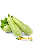 Fidan Şehri Beyaz Sakız Kabak Tohumu 10 Gr Paket