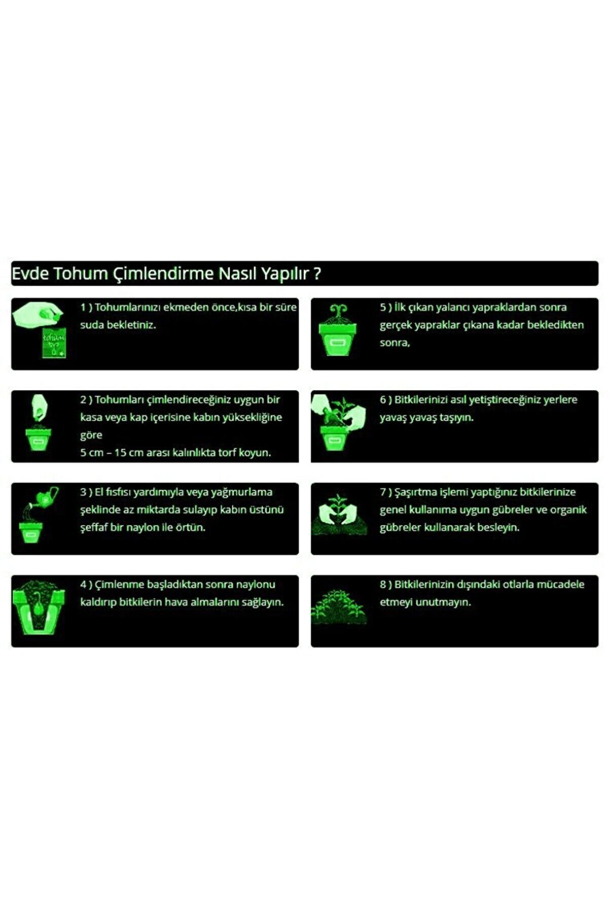 Mor Fesleğen Reyhan Tohumu-1 Gram