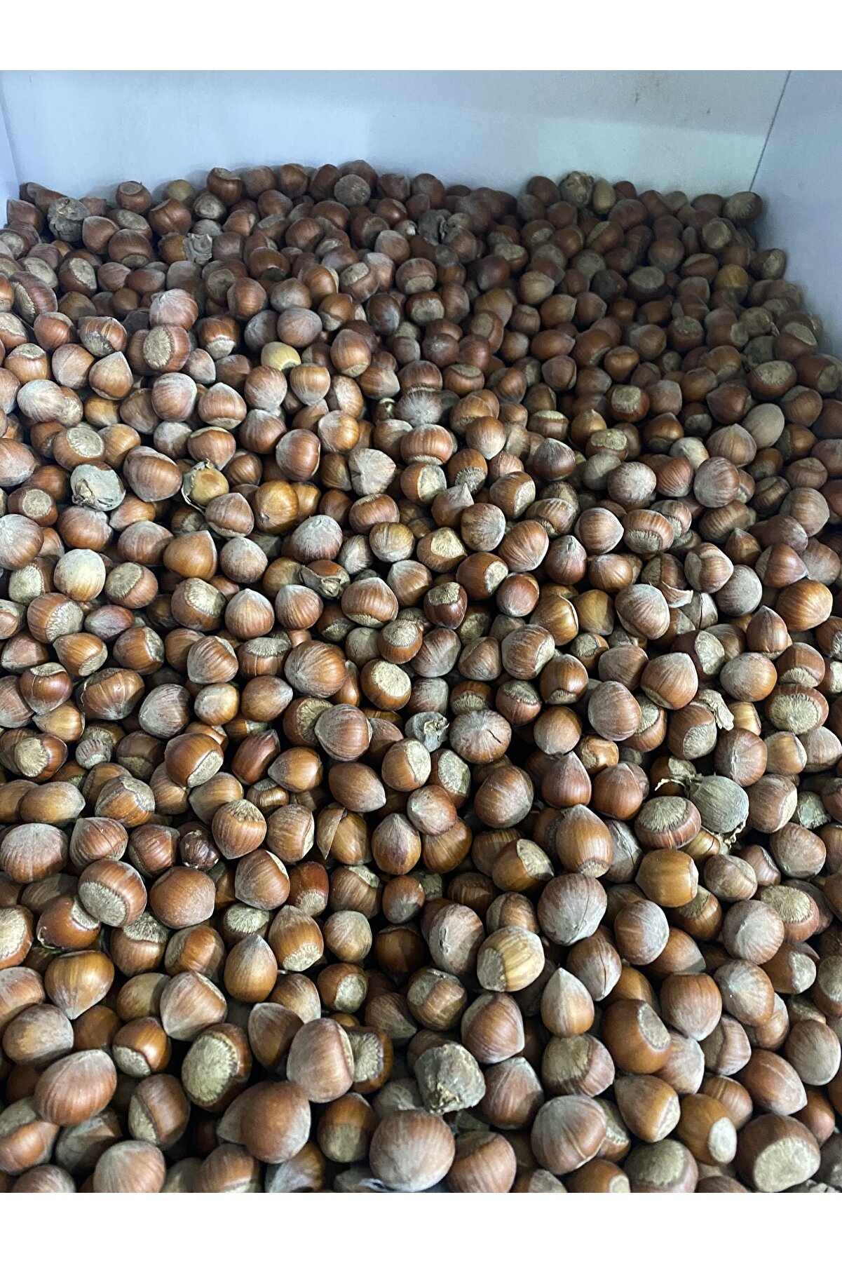 Mustafa Baloğlu Bal &Uuml;r&uuml;nleri̇ Organi̇k Kabuklu Fındık 1 Kg