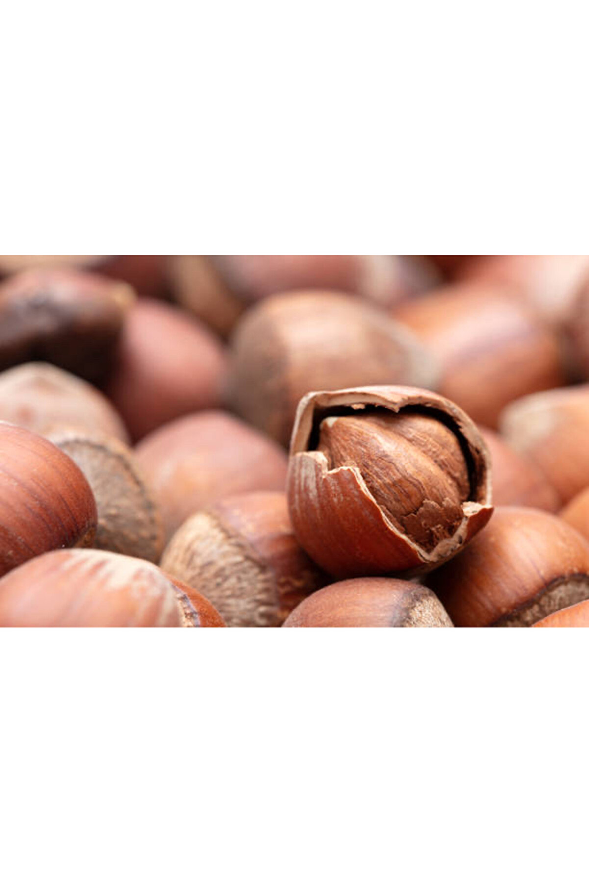 Mustafa Baloğlu Bal &Uuml;r&uuml;nleri̇ Organi̇k Kabuklu Fındık 1 Kg