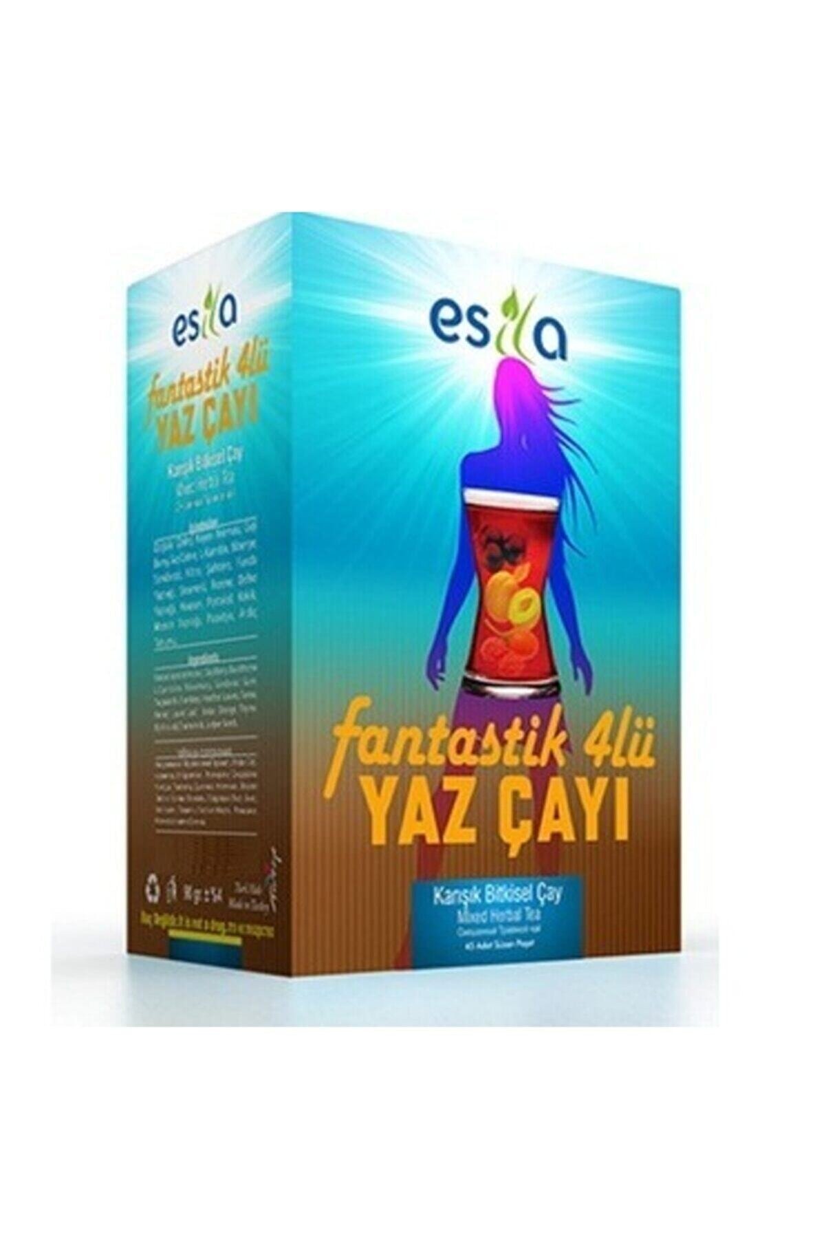 ESİLA Fantastik Dörtlü Yaz Çayı 45 Poşet 2 Kutu