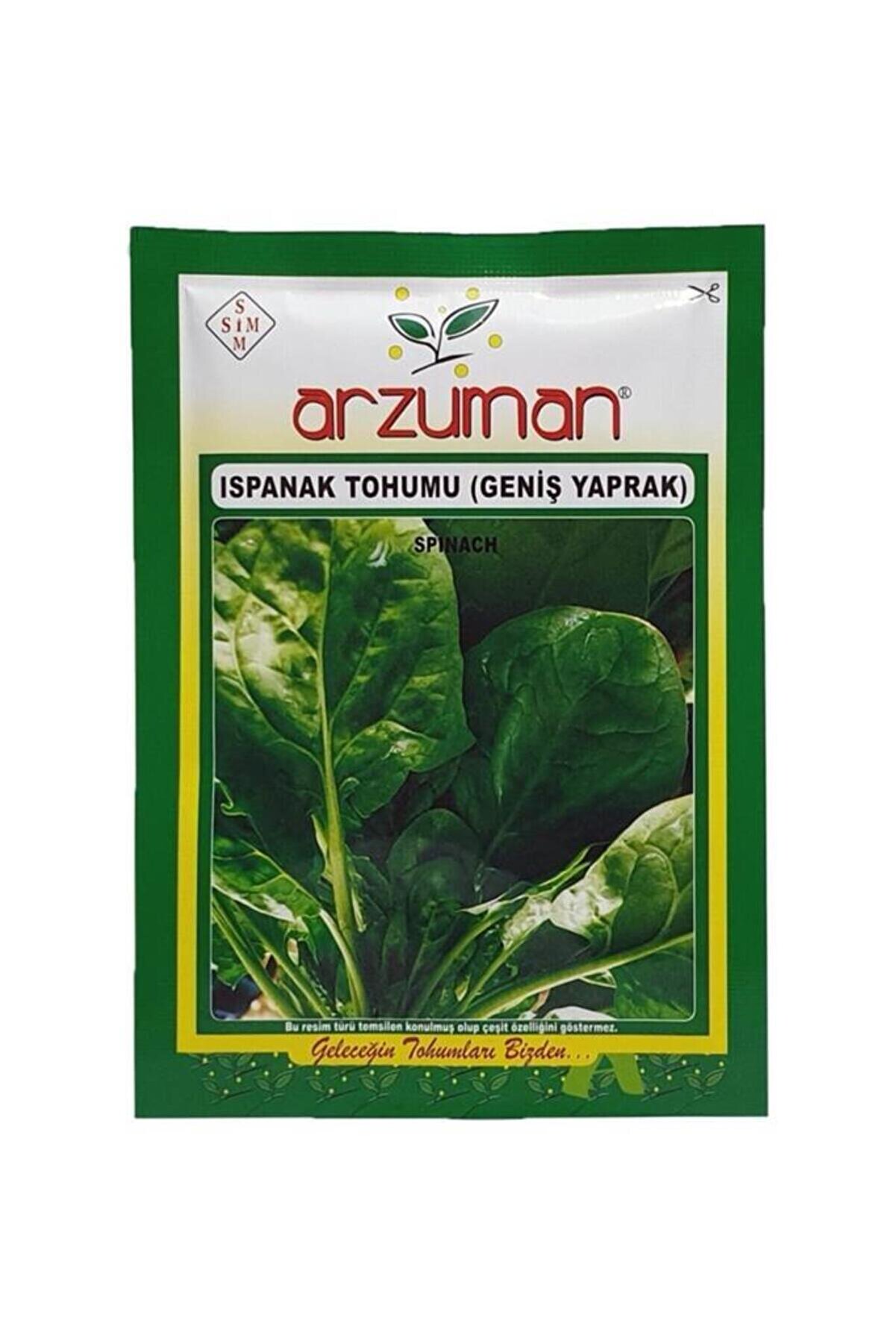 Arzuman Tohum Matador İthal Ispanak Tohumu 25 g