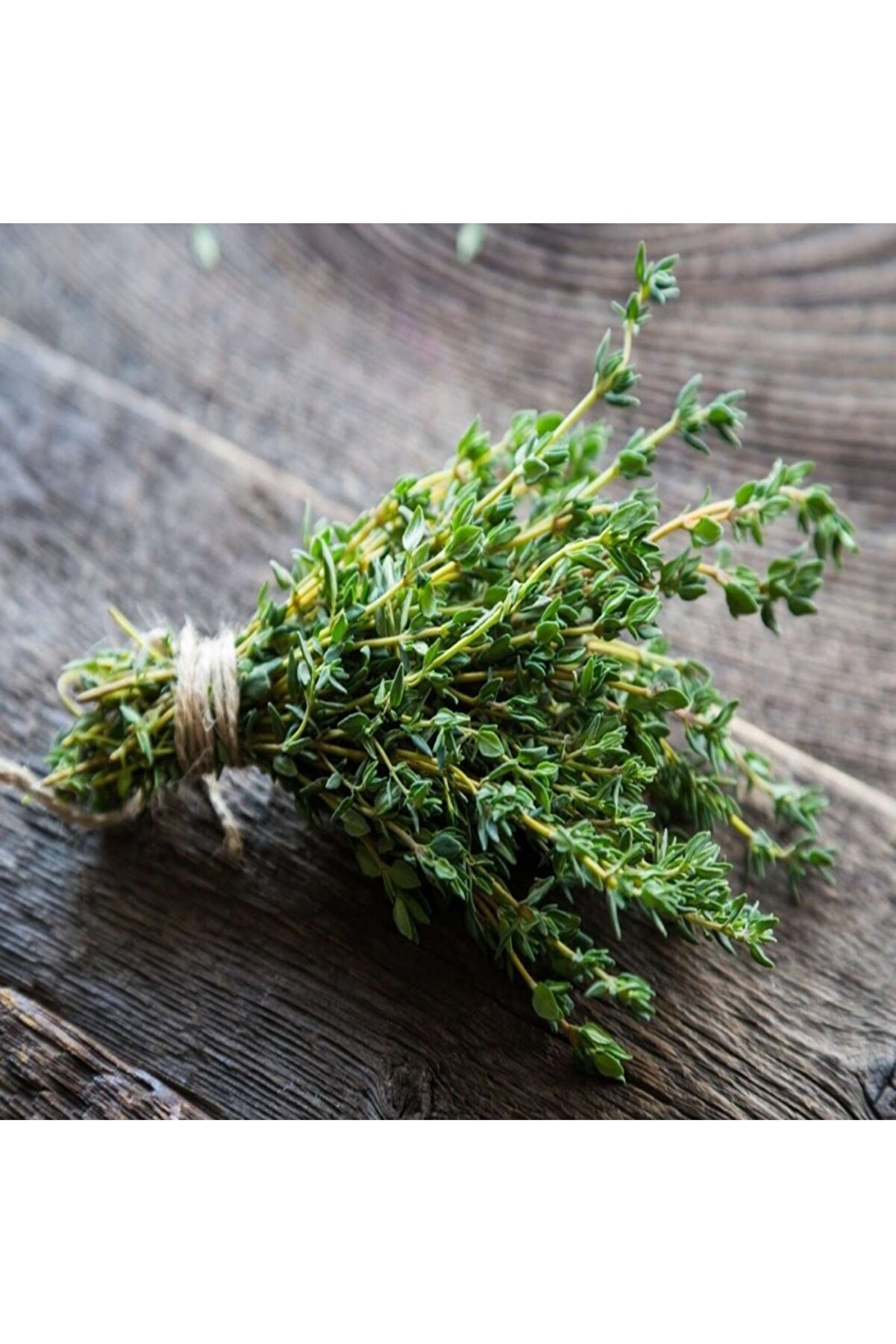 Yerli̇ Taze Keki̇k Tohumu 100 Adet