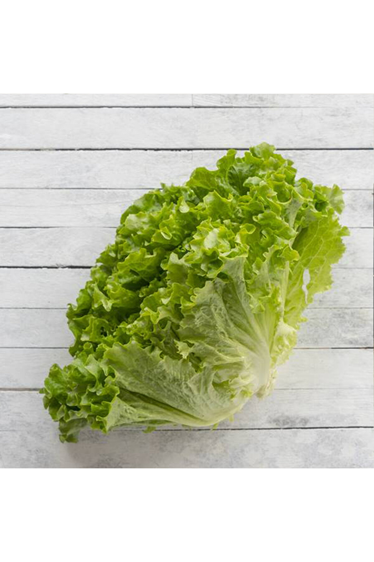 Arzuman Tohumculuk Marul Tohumu Kıvırcık İri Göbekli - 2500 adet - açık yerli tohum