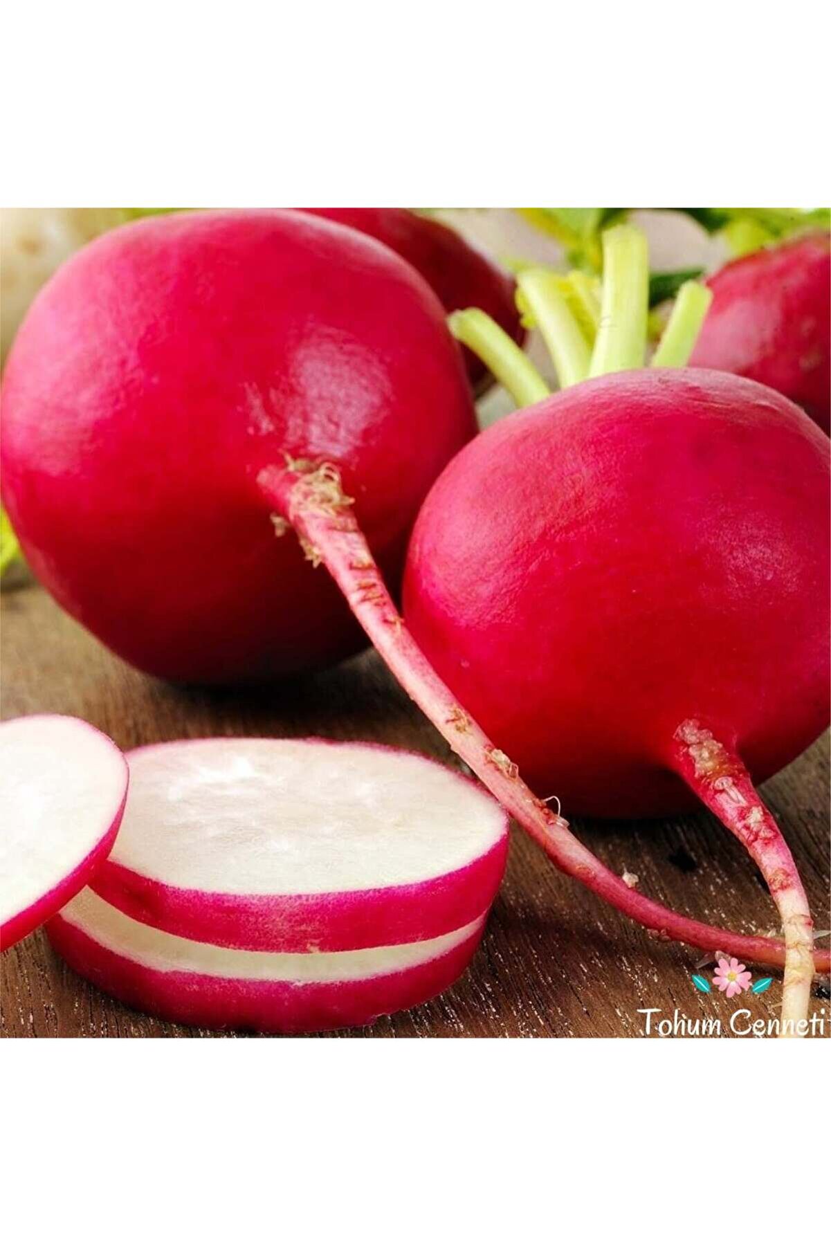 Arzuman Tohumculuk iri Kırmızı Turp Tohumu - 400 adet tohum yerli açık tohum