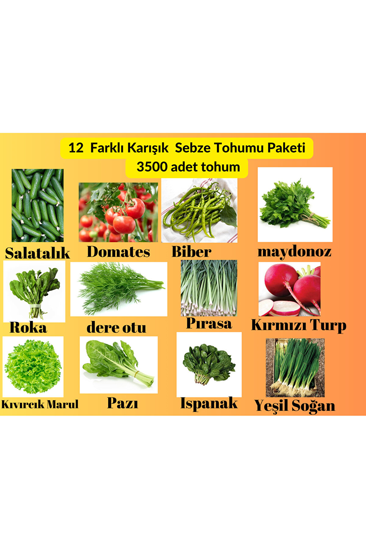 12 Çeşi̇t Sebze Yeşi̇lli̇k Tohum Paketi̇ - Pırasa, Turp, Pazı,Soğan ,Yerli̇ Ata Sürdürebi̇li̇r   3500 Adet