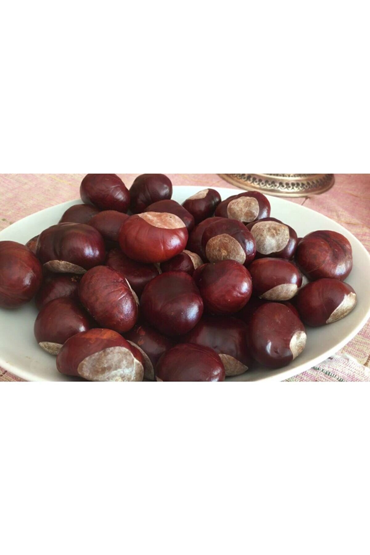 At Kestanesi̇ 100 Gr
