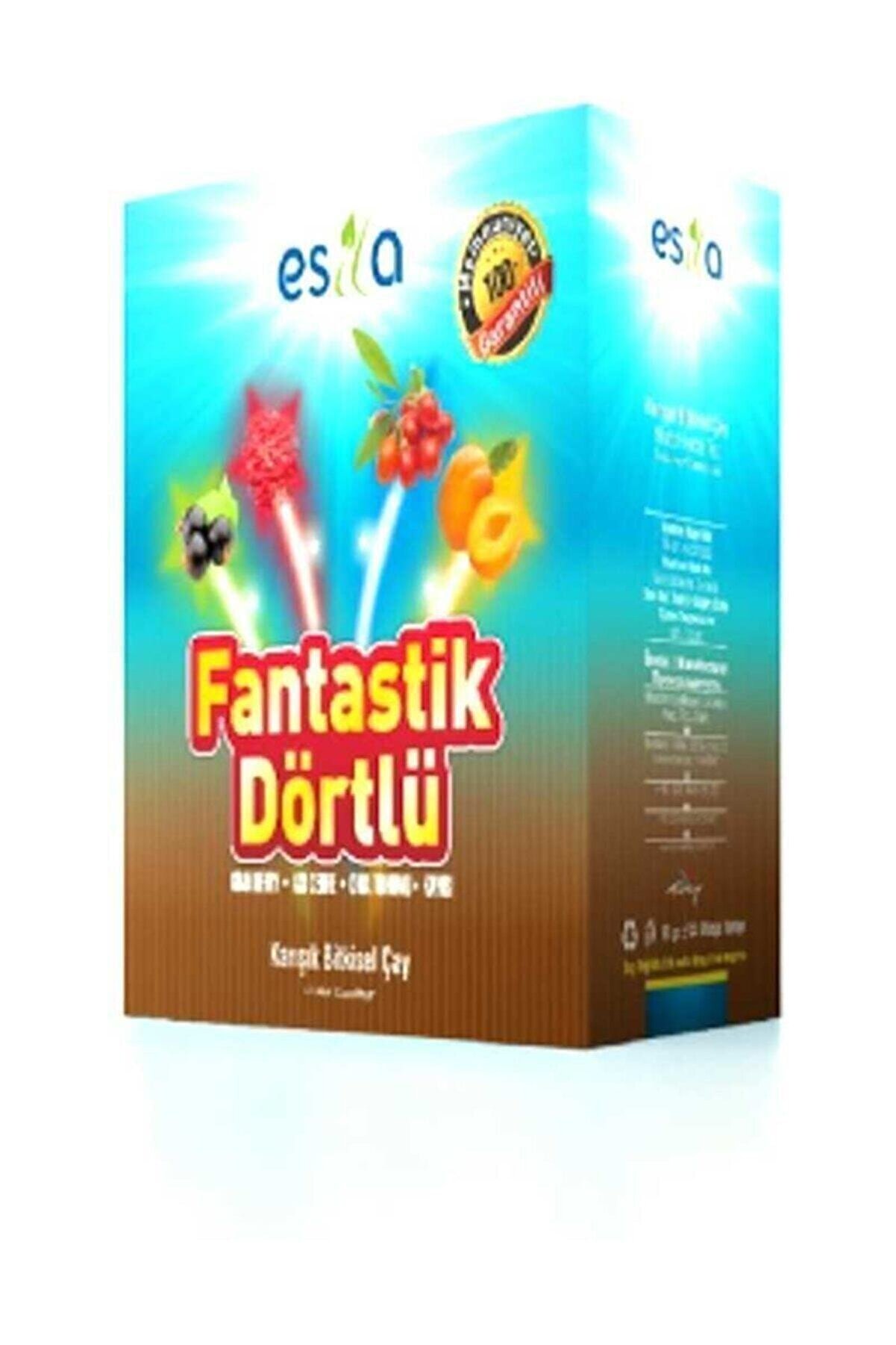 ESİLA Fantastik Dörtlü Yaz Çayı 45 Poşet