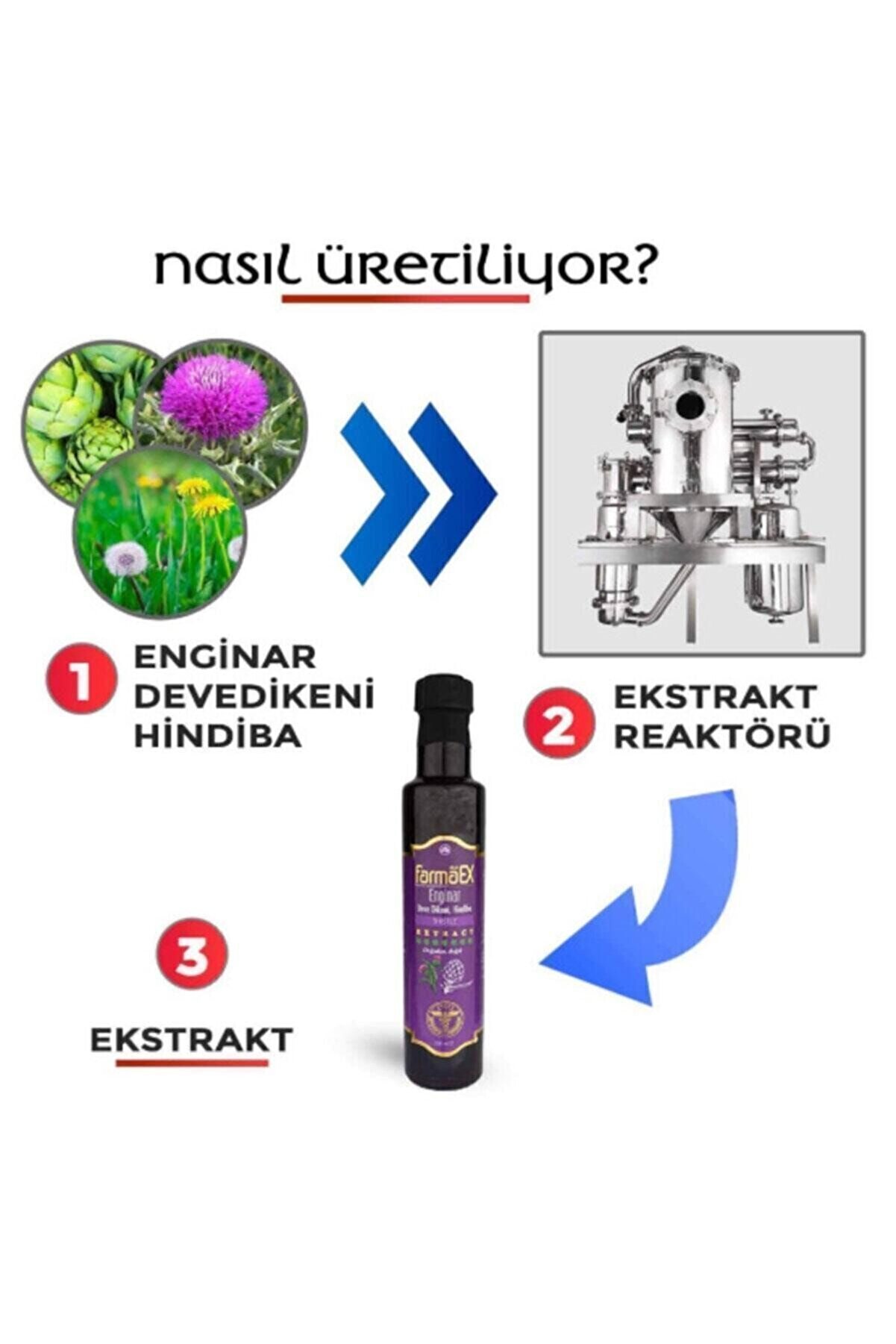 Engi̇nar Deve Di̇keni̇ Ve Hi̇ndi̇ba Ekstraktı Ekstresi̇ 250 Ml Doğadan Doğal