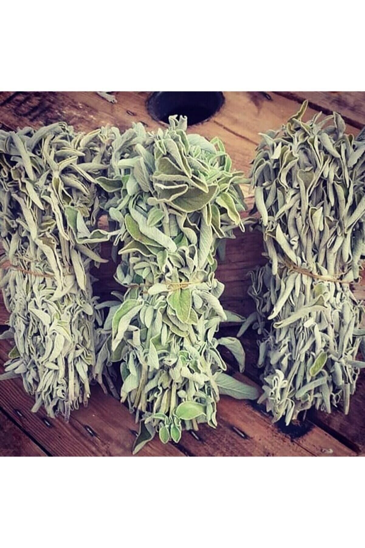 Muğladan Evinize Yeni Sezon Adaçayı Tütsüsü (1 Bağ )