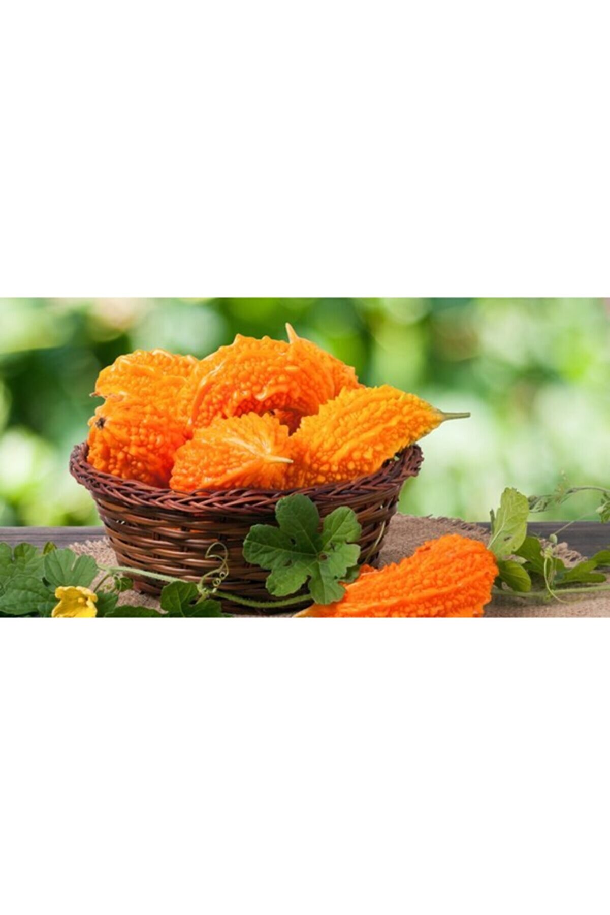 Kudret Narı Zeyti̇nyağlı 300 Gr Macun