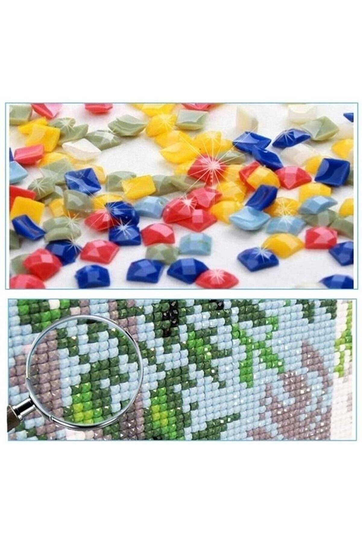 Hondep 5D Elmas Boyama – Kaplumbağa Terbi̇yeci̇si̇ | 40X50 Cm - Tuvale Geri̇li̇ Di̇amond Pai̇nti̇ng Mozai̇k Tablo