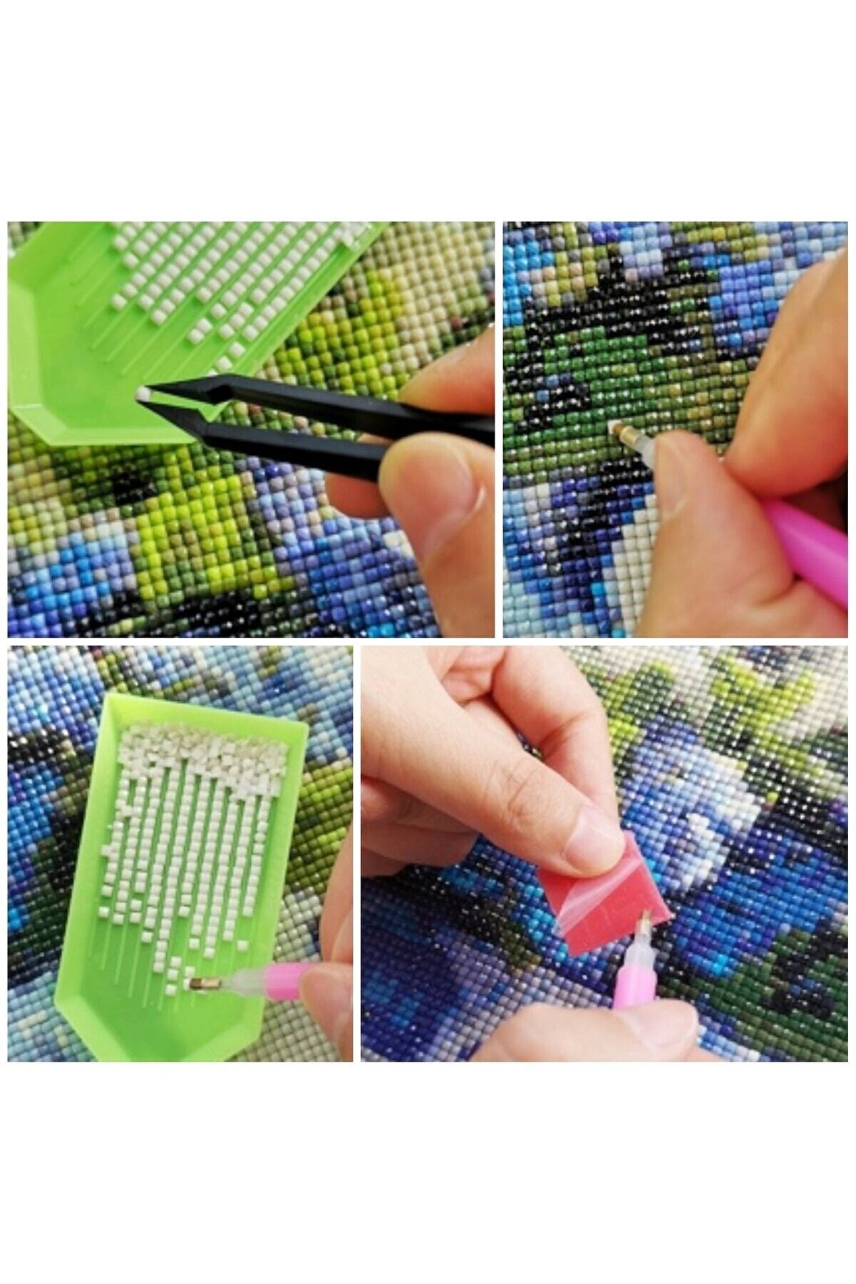 Hondep 5D Elmas Boyama – Kaplumbağa Terbi̇yeci̇si̇ | 40X50 Cm - Tuvale Geri̇li̇ Di̇amond Pai̇nti̇ng Mozai̇k Tablo