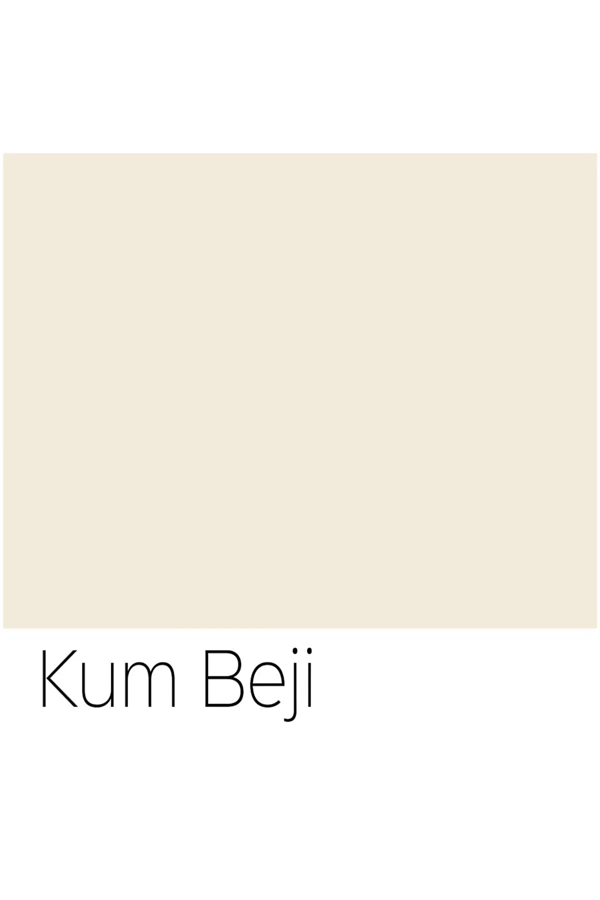 Su Bazlı Akri̇li̇k Boya